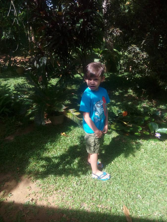 Dambulla Green Villa Bagian luar foto